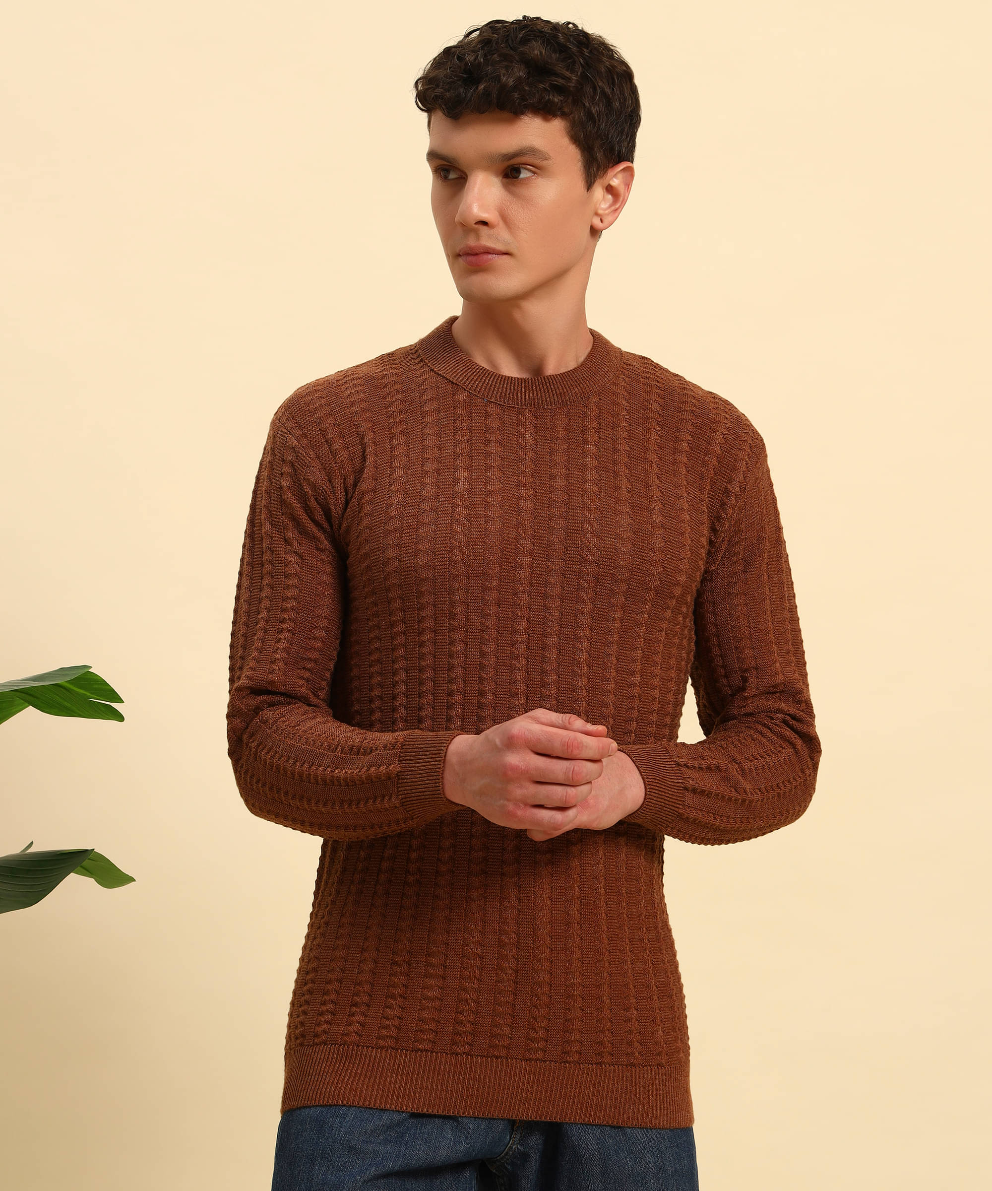 Canblar Woollen Blend Round Neck Men's Full Sleeves Pullover Sweater - Brown ( Pack of 1 )     			Canblar Woollen Blend Round Neck Men's Full Sleeves Pullover Sweater - Brown ( Pack of 1 )