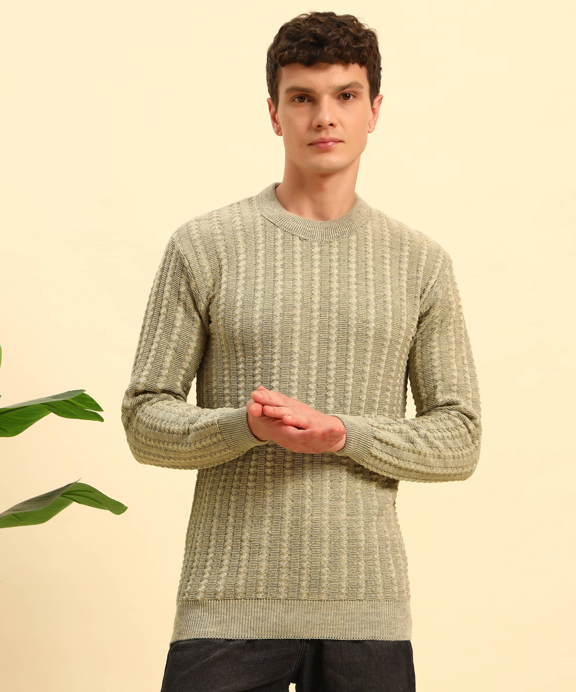     			Canblar Woollen Blend Round Neck Men's Full Sleeves Pullover Sweater - Beige ( Pack of 1 )