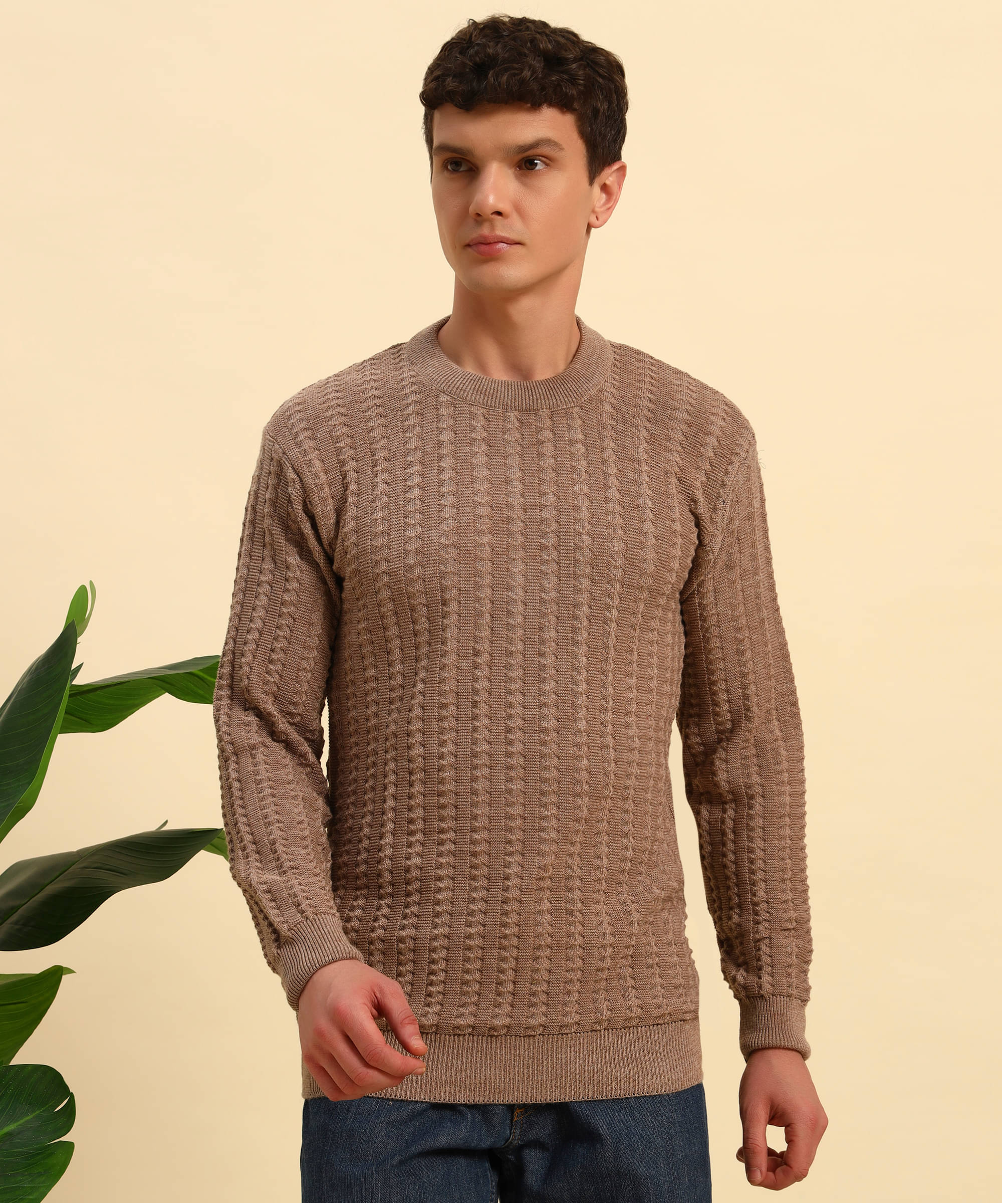     			Canblar Woollen Blend Round Neck Men's Full Sleeves Pullover Sweater - Multi ( Pack of 1 )