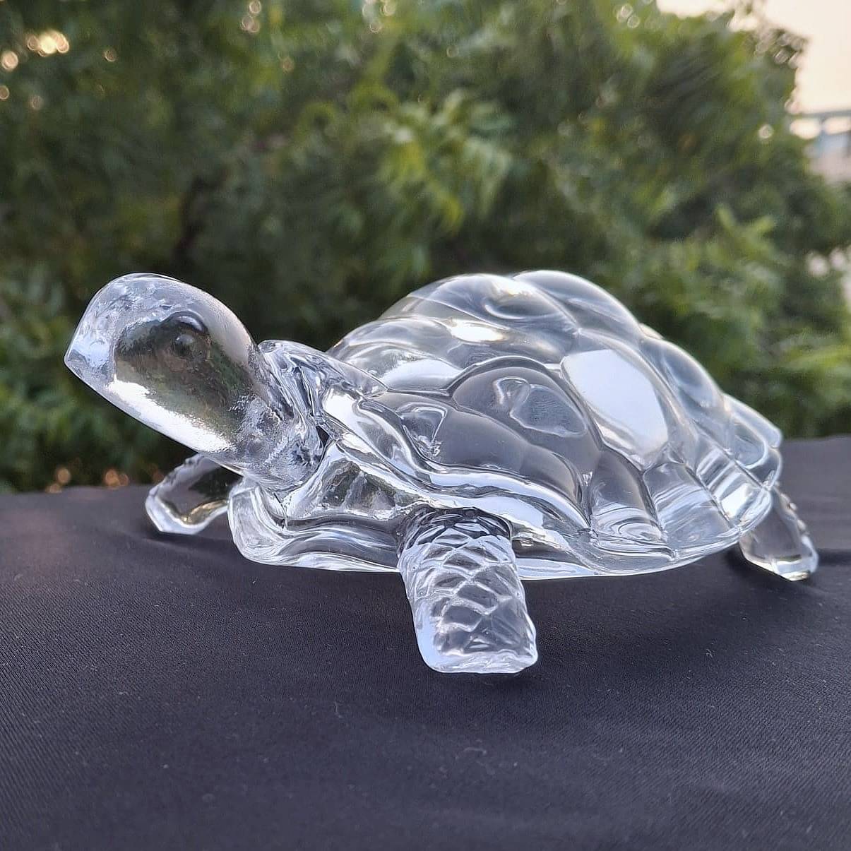 DECORIFY Vastu, Feng Shui Crystal Turtle Tortoise (6 Inches) Ideal for Home, Office or Factory | Brings Good Luck and Prosperity DECORIFY Vastu, Feng Shui Crystal Turtle Tortoise (6 Inches) Ideal for Home, Office or Factory | Brings Good Luck and Prosperity