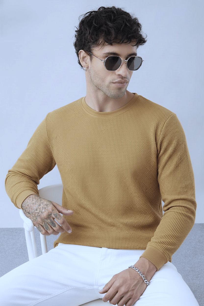     			Singham Men Cotton Blend Regular Fit Solid Polo T Shirt ( Brown )