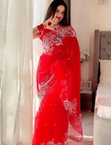     			Khodiyar Fashion Organza Self Design Chikankari Saree With Unstitched Blouse Piece ( Red )