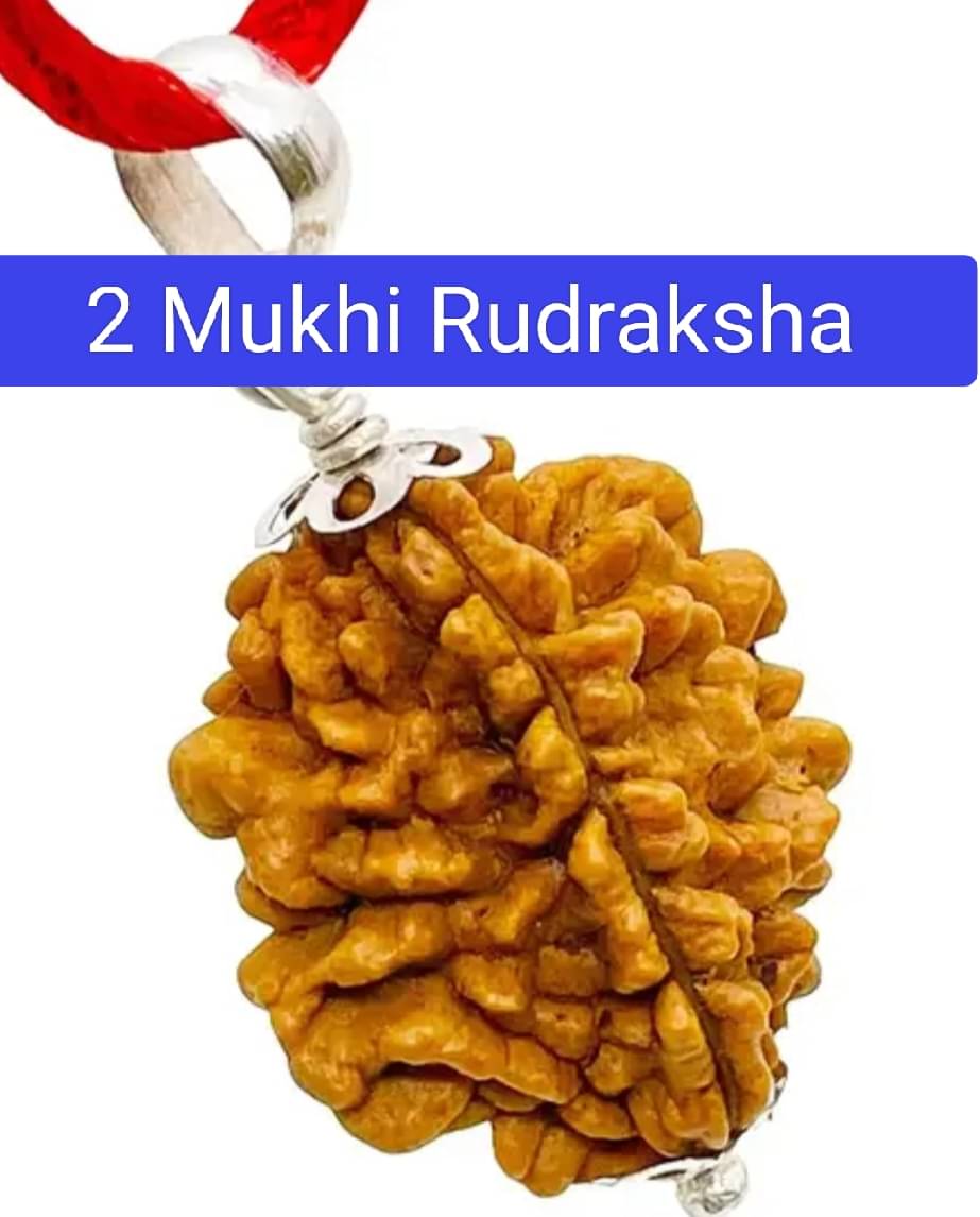     			Two/2 MUKHI Original Lab Certified Metal Capped Indian Rudraksha Pendant With Red Dhaga For Men And Women