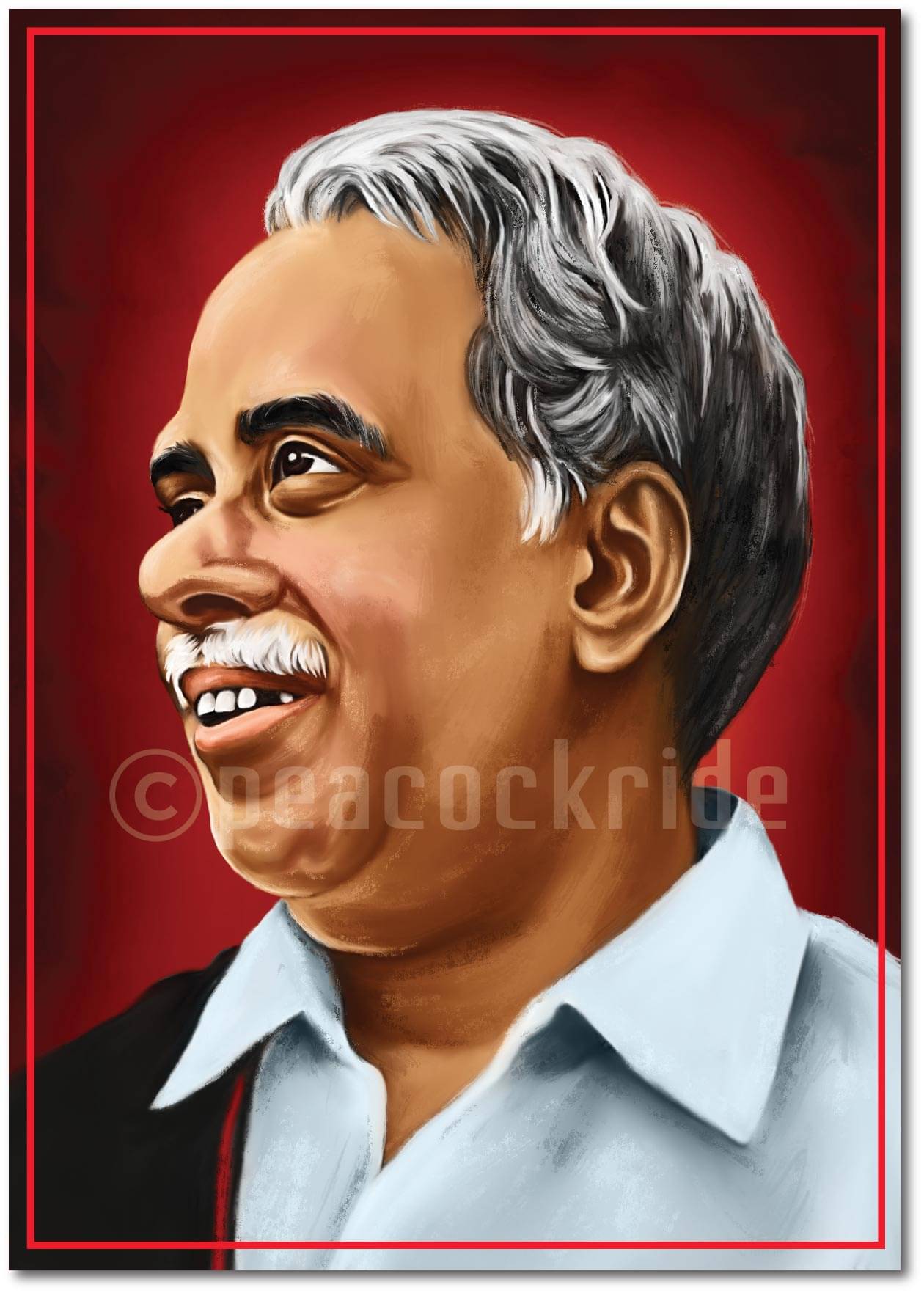     			Aringar Anna Wall Poster