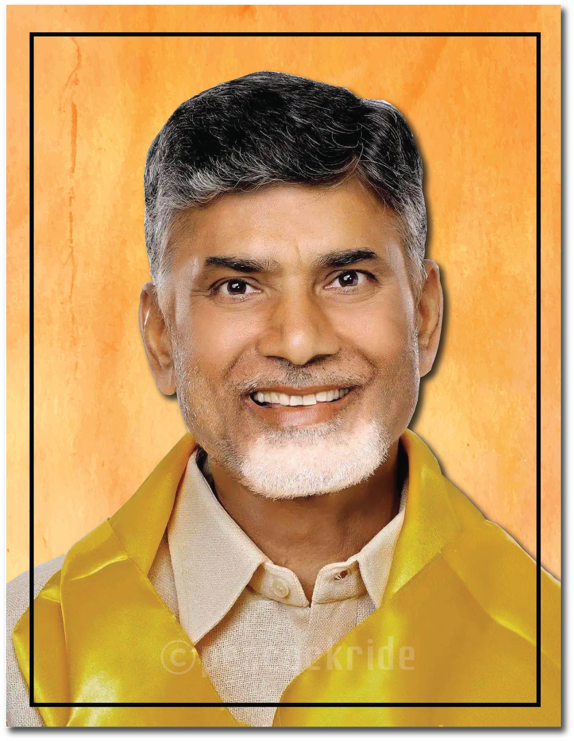     			N. Chandrababu Naidu I Chandrababu Naidu I Telugu Desam Party I TDP I Wall Poster