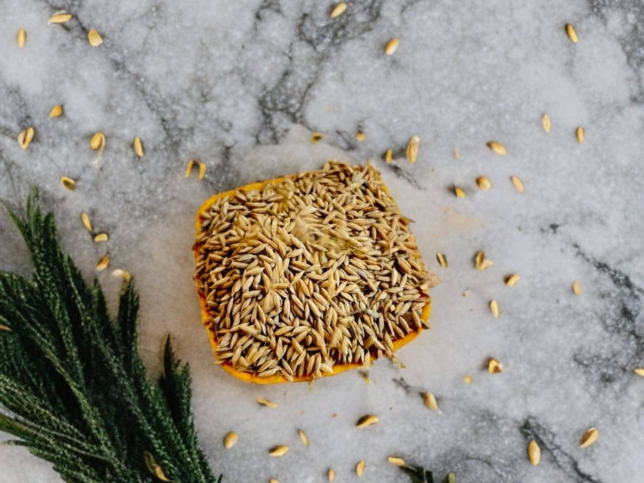 Premium Sabha Mansuri Paddy Seeds – High-Quality Dhan ka Beej for Pooja & Germination Premium Sabha Mansuri Paddy Seeds – High-Quality Dhan ka Beej for Pooja & Germination