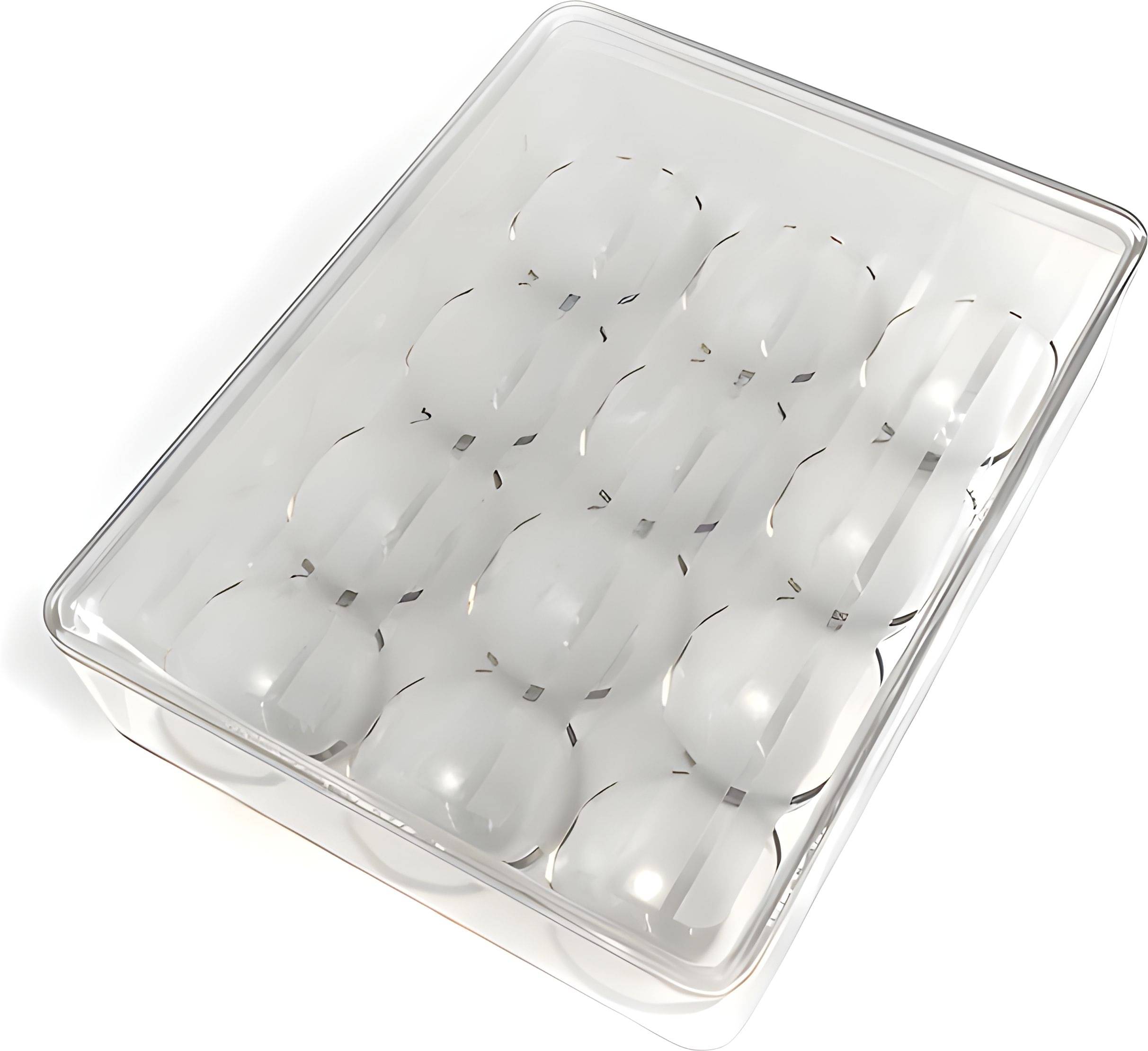     			deodap Plastic White Egg Container ( Set of 1 )