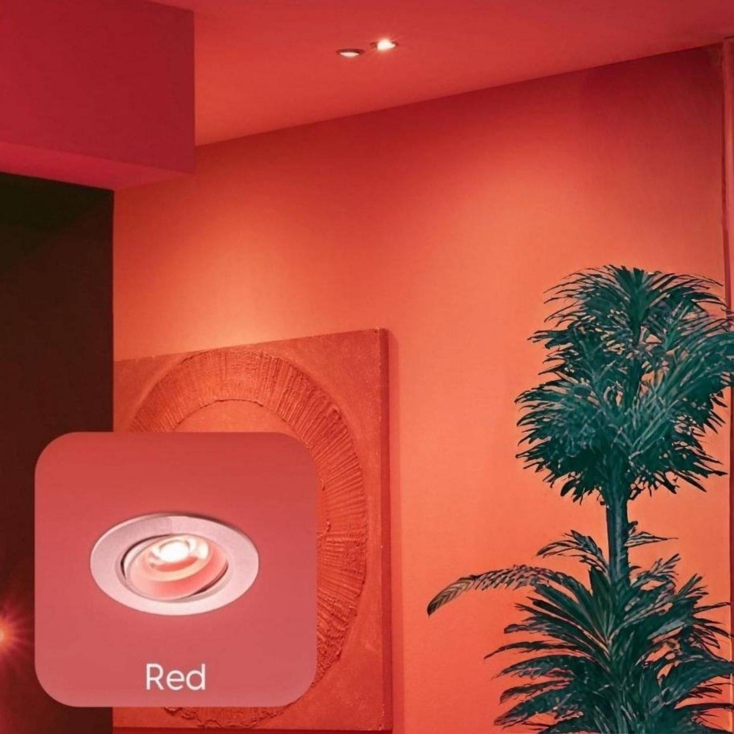     			iDurable 'N' Smart Plastic Red Ceiling Lights - Pack of 1