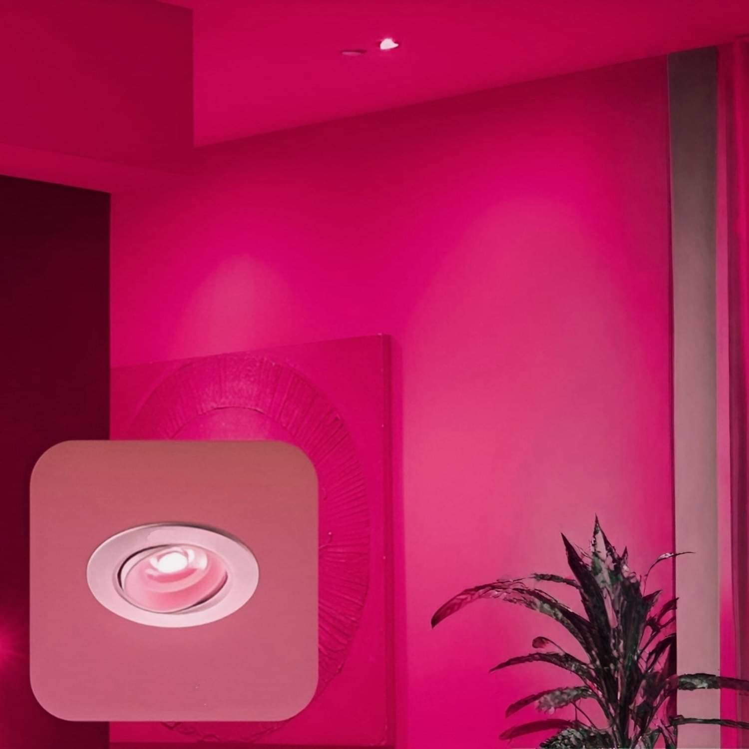     			iDurable 'N' Smart Polypropylene (PP) Pink Ceiling Lights - Pack of 1