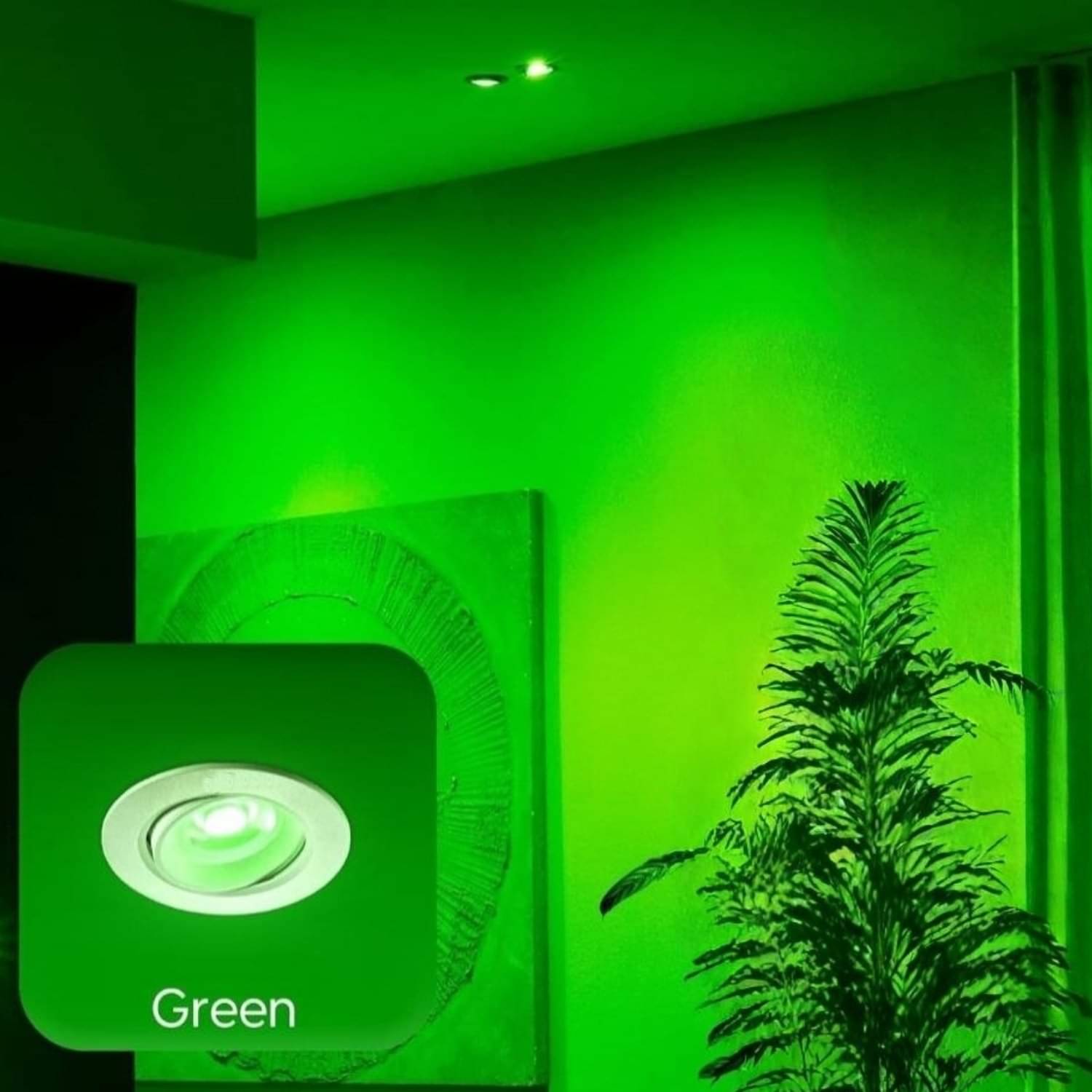     			iDurable 'N' Smart Polypropylene (PP) Green Ceiling Lights - Pack of 1