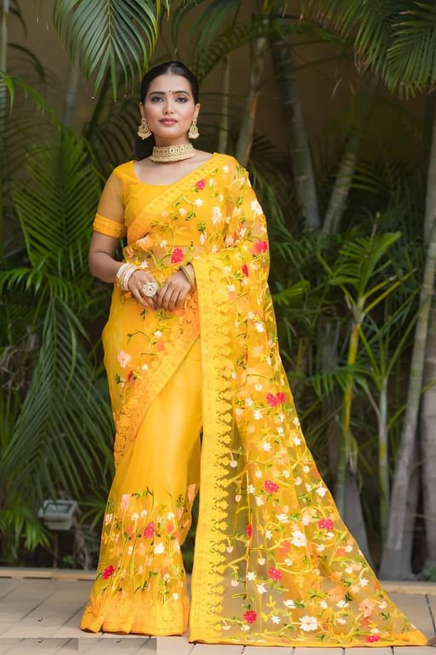    			Apnisha Net Embroidered Regular Saree With Unstitched Blouse Piece ( Yellow )