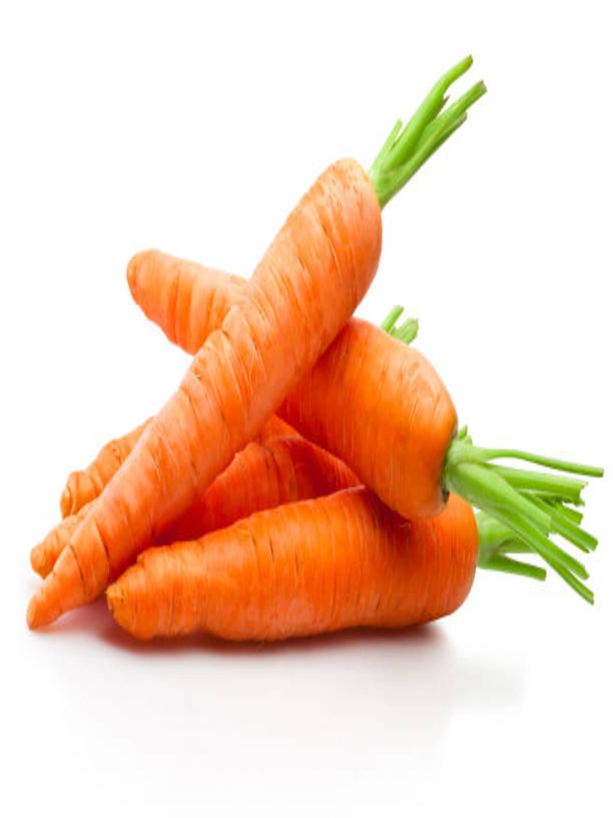     			Dhrista Carrot (Gajar) (1000+ Seeds) Vegetable Seeds for Home Garden, Organic & Hybrid, Perfect for Home Gardening, Planting For Pots and Patio