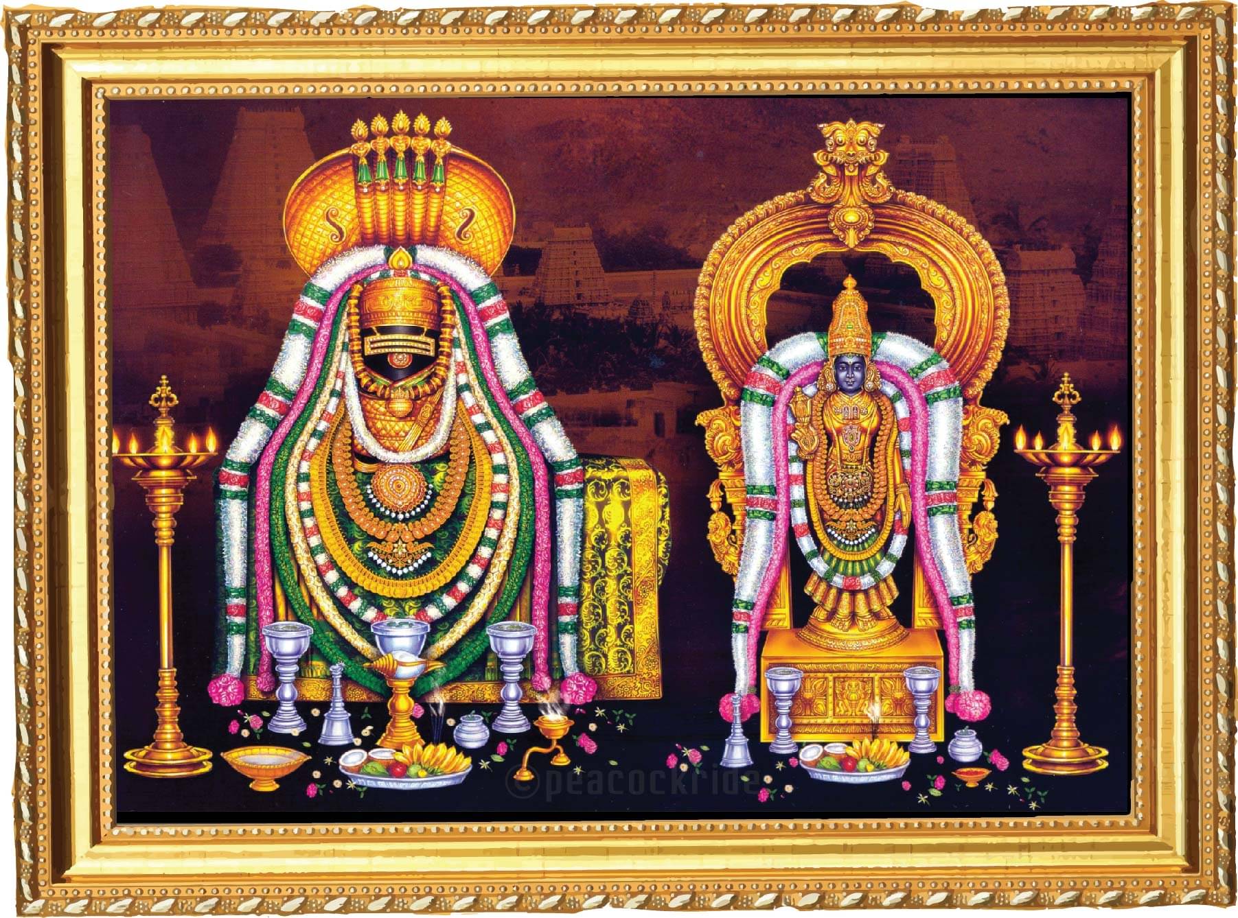 PEACOCKRIDE Plastic Table Top & Wall hanging Multicolour Single Photo Frame No. of Pieces- 1 PEACOCKRIDE Plastic Table Top & Wall hanging Multicolour Single Photo Frame No. of Pieces- 1