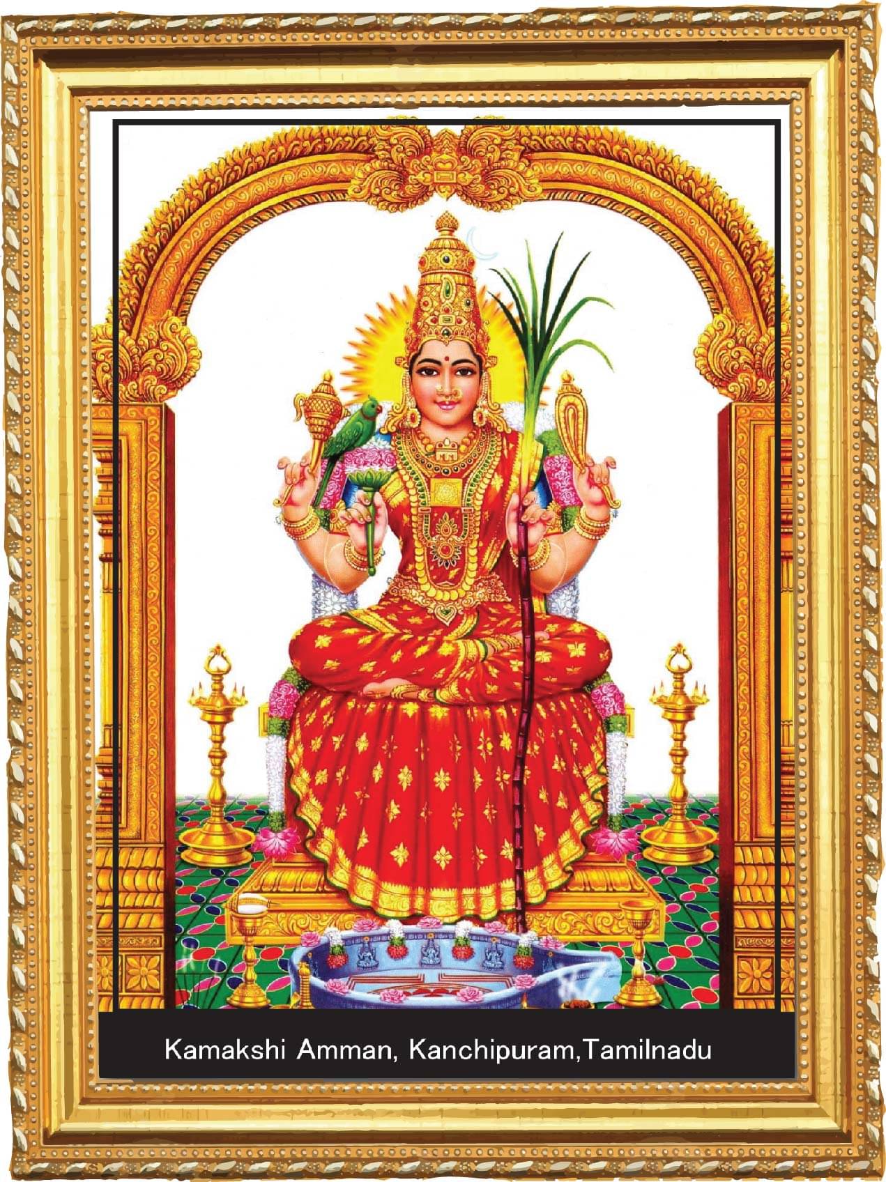 PEACOCKRIDE Plastic Table Top & Wall hanging Multicolour Single Photo Frame No. of Pieces- 1 PEACOCKRIDE Plastic Table Top & Wall hanging Multicolour Single Photo Frame No. of Pieces- 1