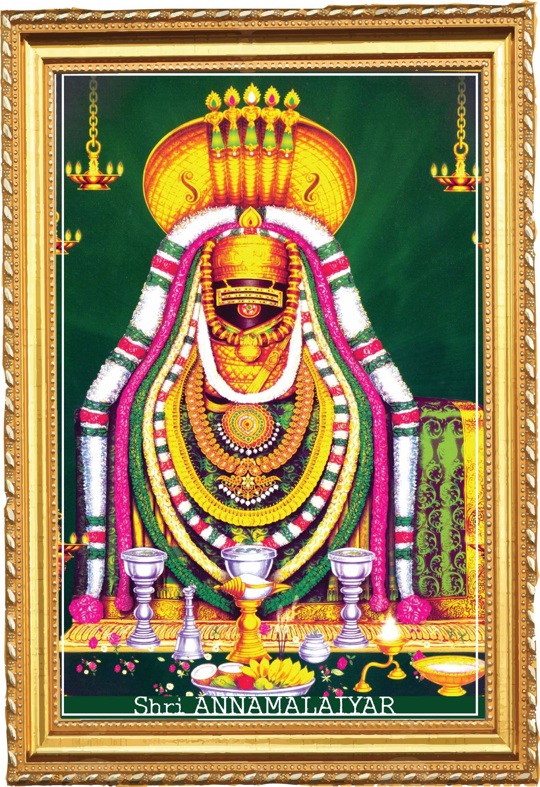 PEACOCKRIDE Plastic Table Top & Wall hanging Multicolour Single Photo Frame No. of Pieces- 1 PEACOCKRIDE Plastic Table Top & Wall hanging Multicolour Single Photo Frame No. of Pieces- 1