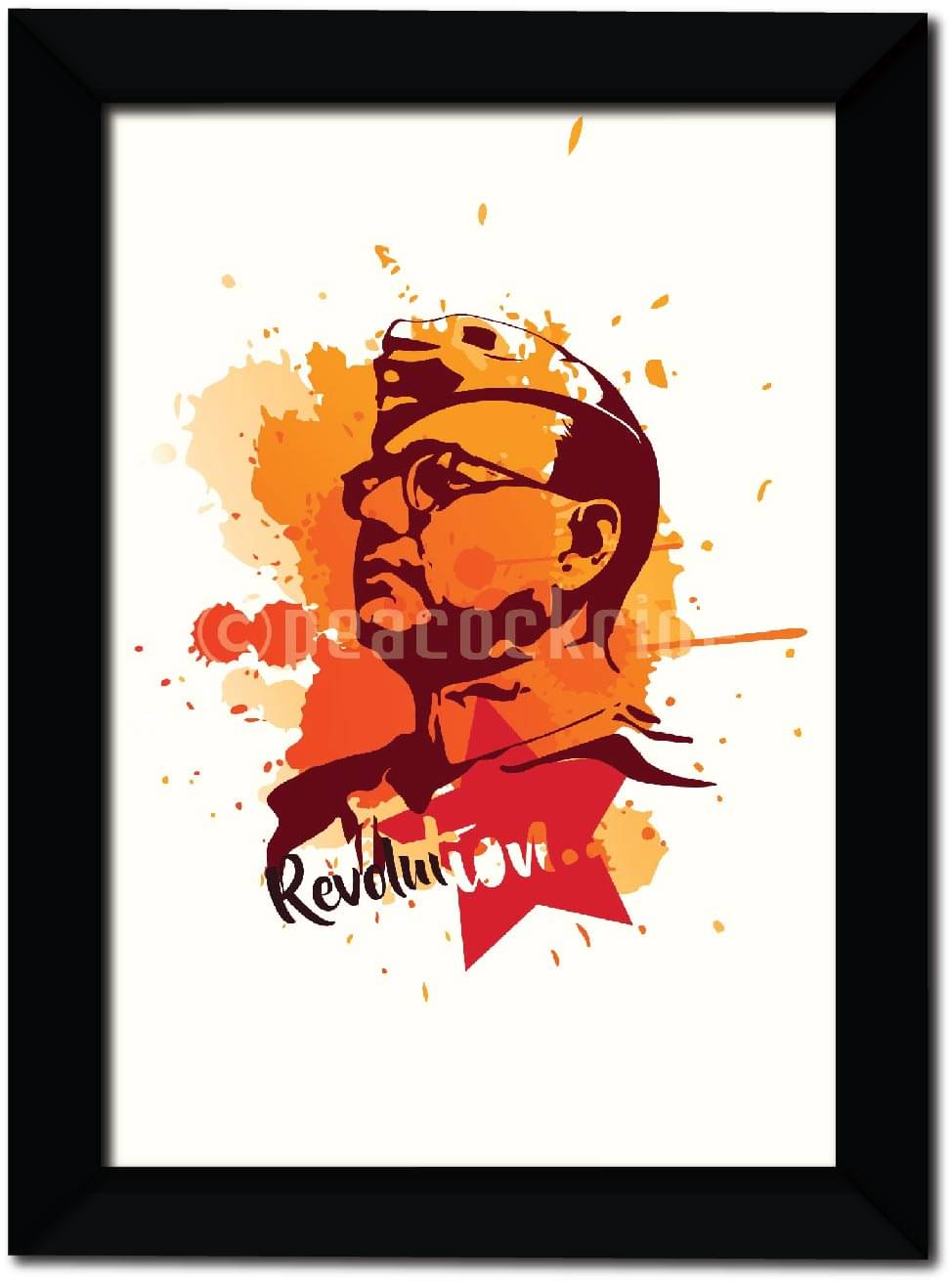 PEACOCKRIDE Plastic Table Top & Wall hanging Multicolour Single Photo Frame No. of Pieces- 1 PEACOCKRIDE Plastic Table Top & Wall hanging Multicolour Single Photo Frame No. of Pieces- 1