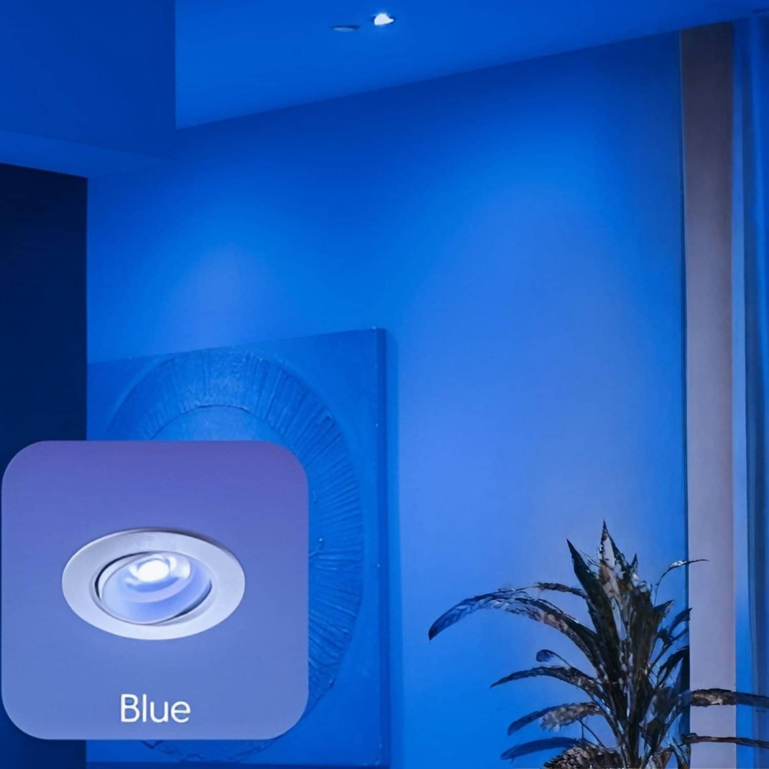     			iDurable 'N' Smart Polypropylene (PP) Blue Ceiling Lights - Pack of 1
