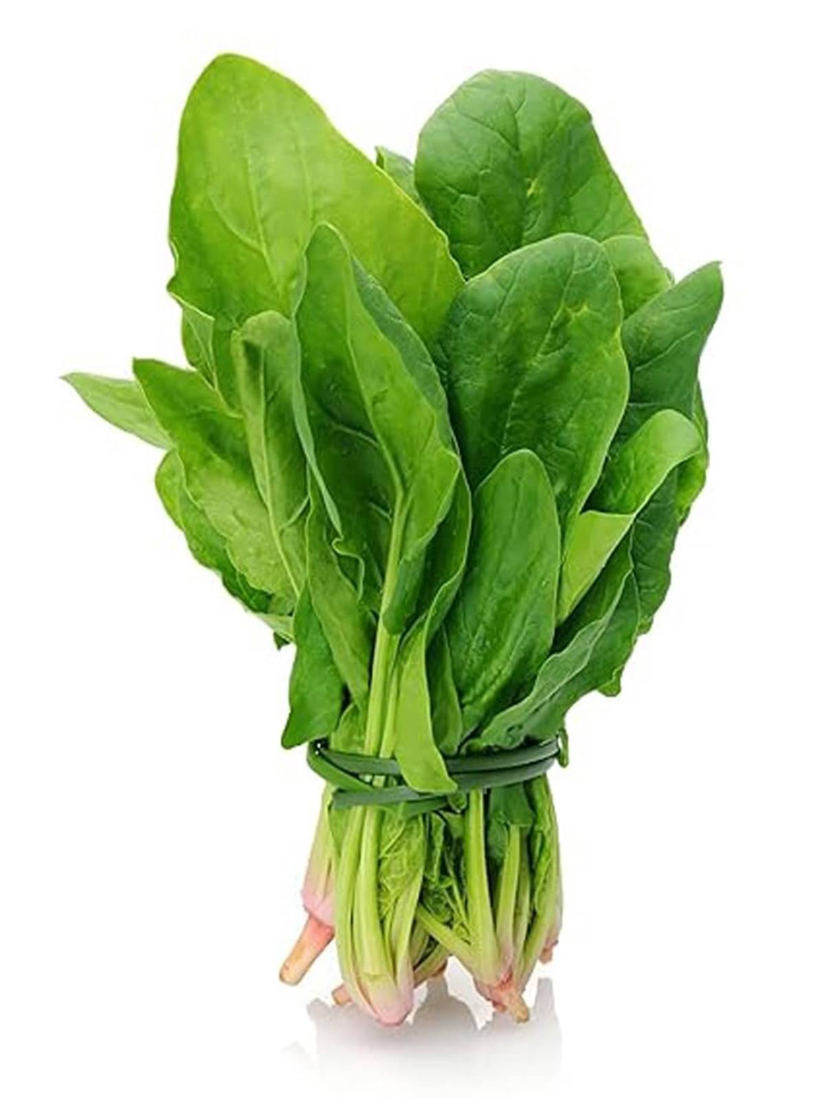 Dhrista Seeds Palak/Spinach Vegetable Seeds (Green, 1000+ Seeds Approx.) Suitable for Home Garden, Terrace & Farm Dhrista Seeds Palak/Spinach Vegetable Seeds (Green, 1000+ Seeds Approx.) Suitable for Home Garden, Terrace & Farm