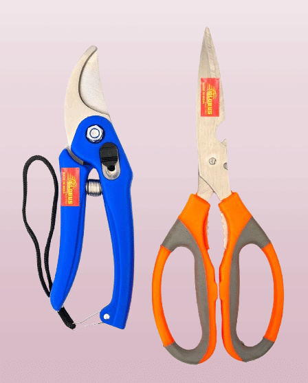 Globus 1660-GARDEN TOOL SET/2-GARDEN CUTTER/PRUNER/SECATEUR (8"/200MM) (STAINLESS  ) & GARDEN SCISSOR STAINLESS (8INCH/20CM) Garden Tool Kit. Garden Tool Kit (2 Tools)