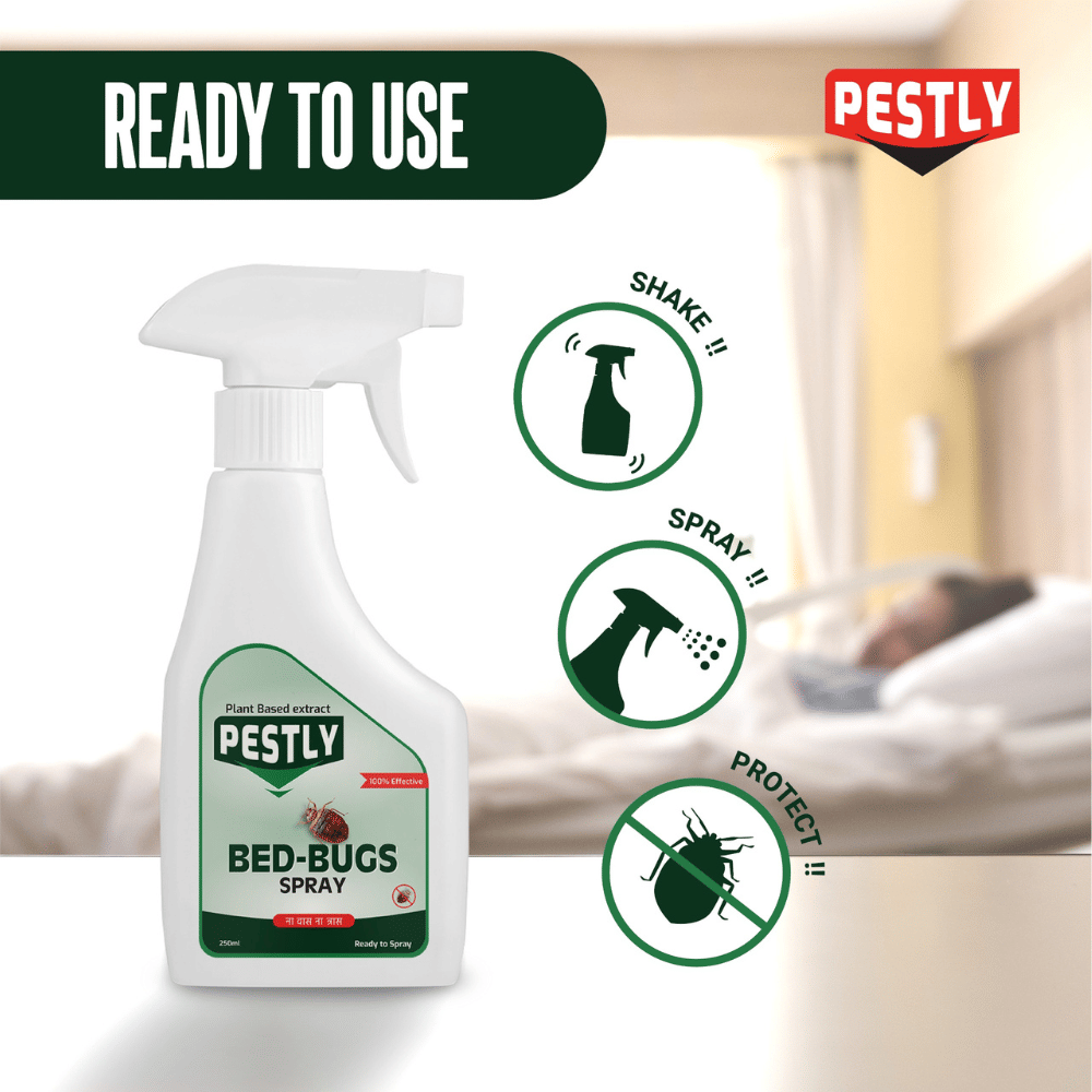     			Pestly Bedbug Spray – 250 ml | Natural & Non-Toxic Formula | Child & Pet Safe | Kills Bedbugs & Eggs | Long-Lasting Protection