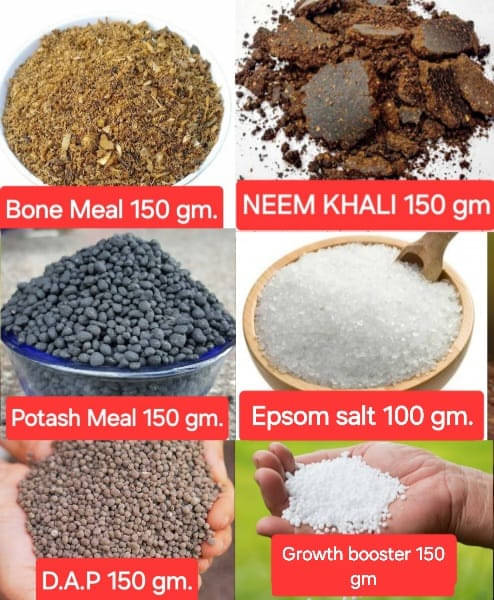 Combo of 6 Bone meal ,Neem cake, Potash meal, Growth booster, D.a.p ,Epsom salt Each 150 gram Total 900 gram     			Combo of 6 Bone meal ,Neem cake, Potash meal, Growth booster, D.a.p ,Epsom salt Each 150 gram Total 900 gram