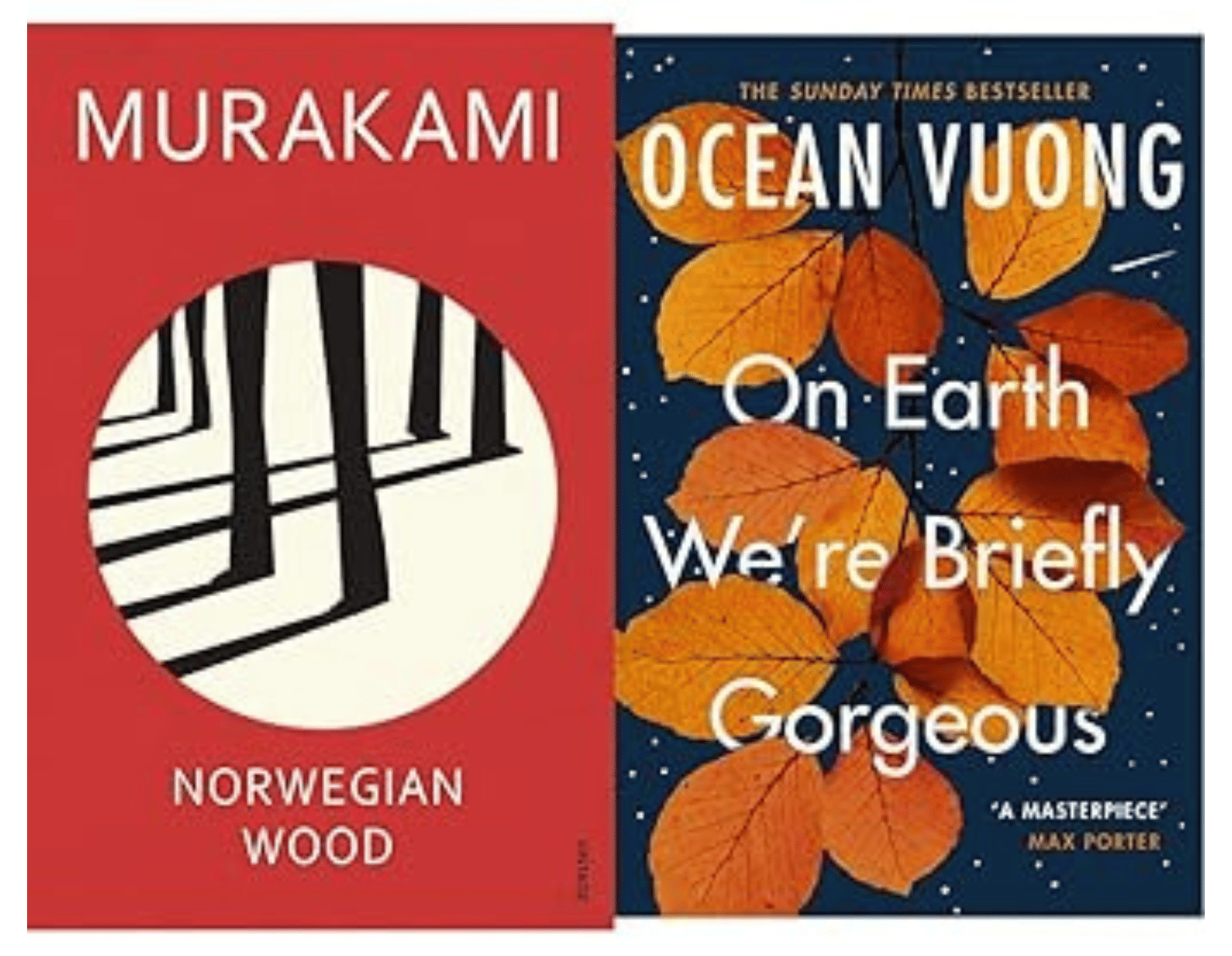 Norwegian Wood + On Earth We're Briefly Gorgeous Norwegian Wood + On Earth We're Briefly Gorgeous
