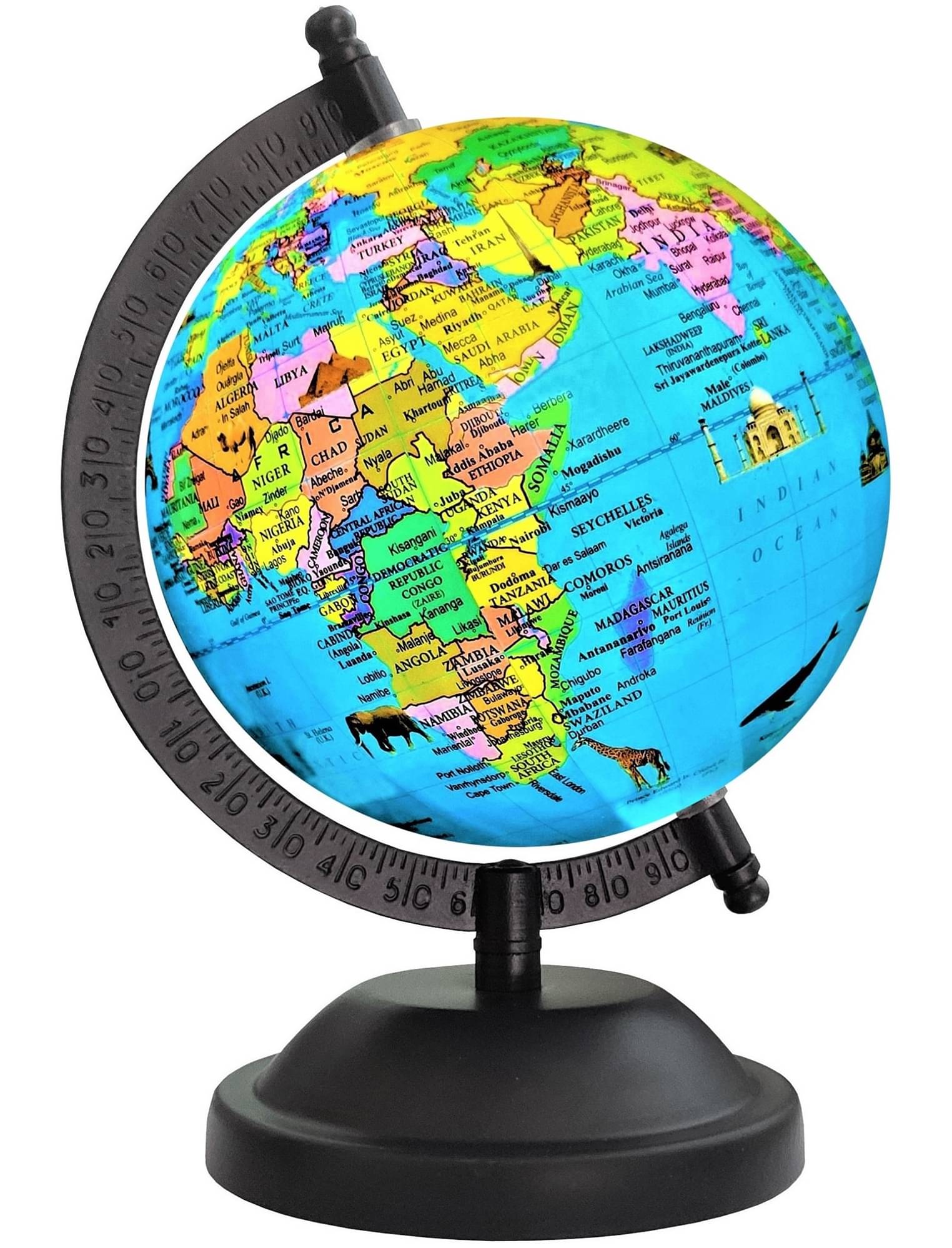     			SEE-WORLD Globe ( Pack of 1 )