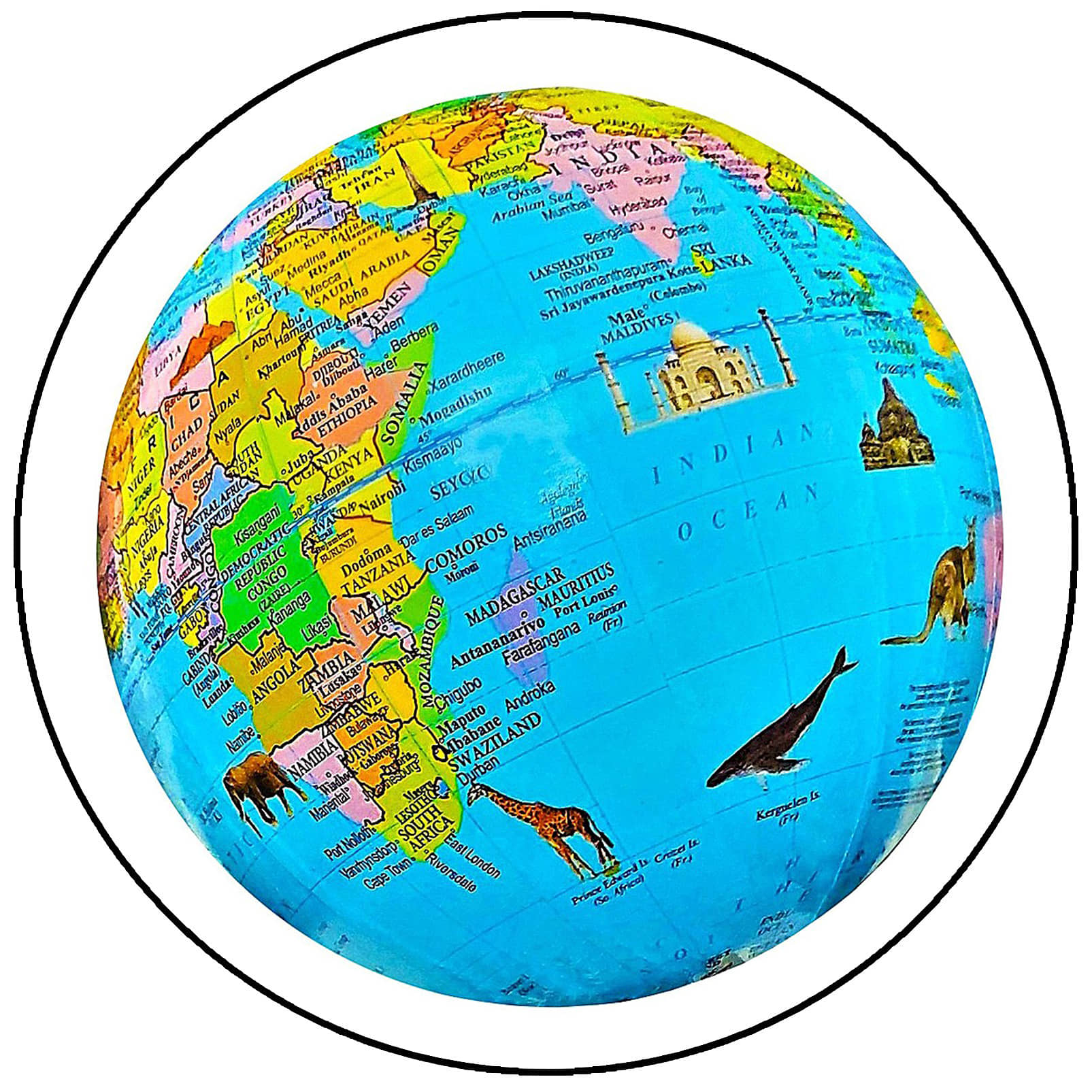 Buy SEE-WORLD Globe ( Pack of 1 ) - Price ₹418 | Best Deals