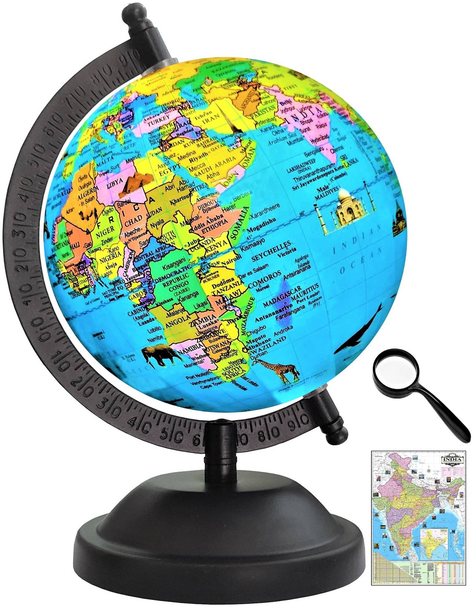 SEE-WORLD Globe ( Pack of 1 )     			SEE-WORLD Globe ( Pack of 1 )