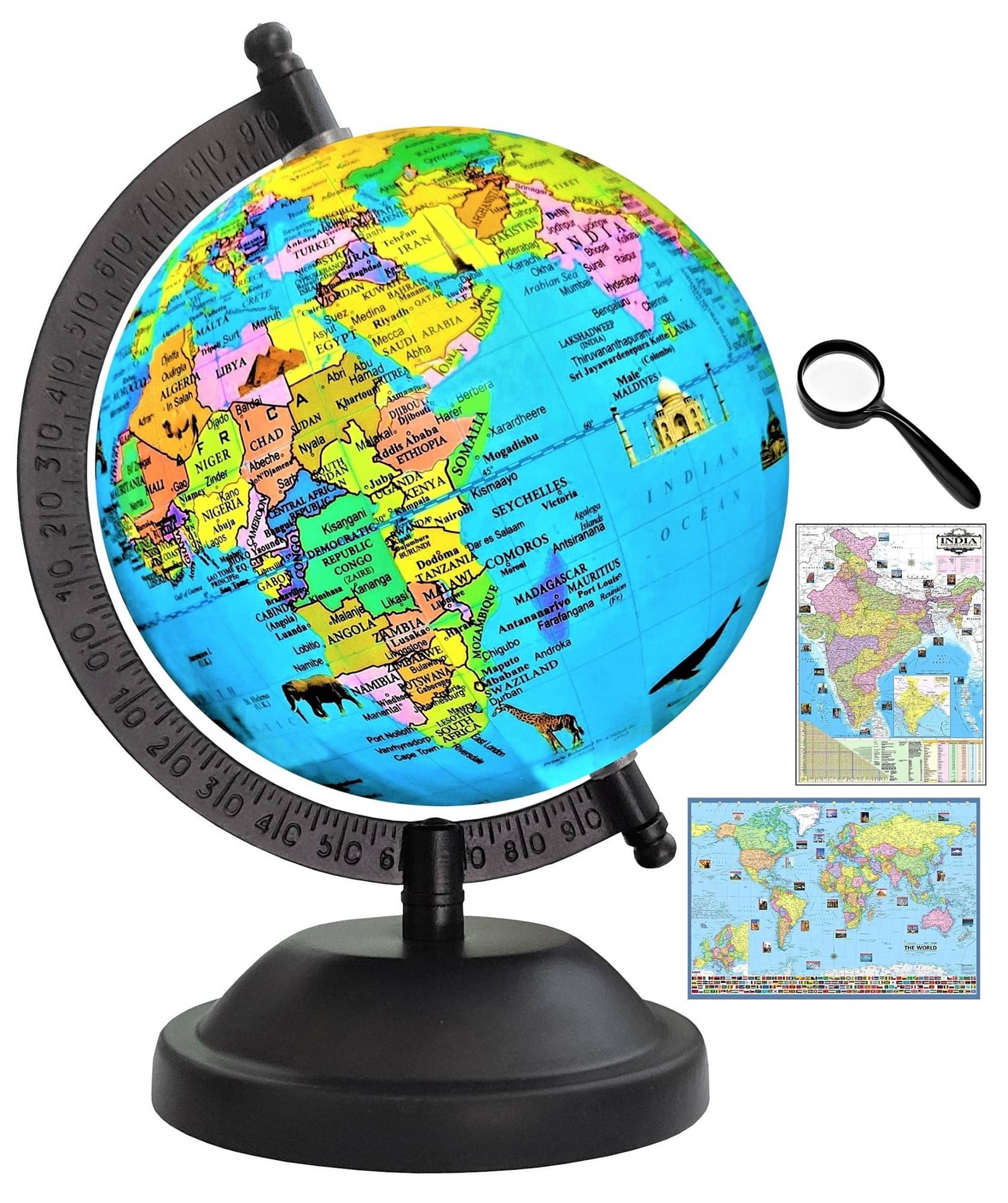 SEE-WORLD Globe ( Pack of 1 )     			SEE-WORLD Globe ( Pack of 1 )