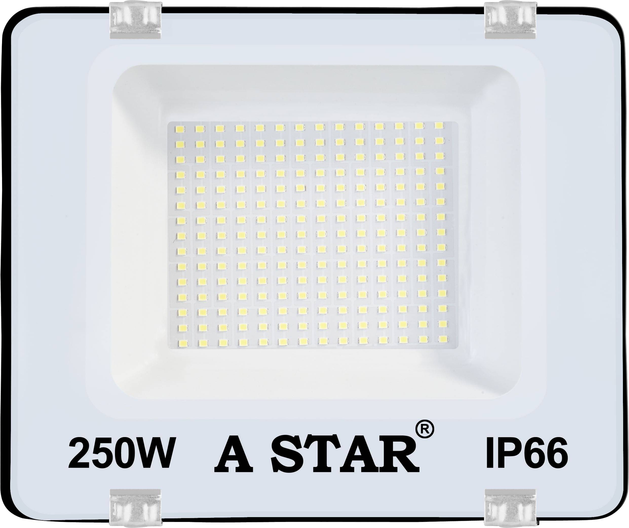 ZESTRUM Flood Light Cool Day Light - Pack of 1 ZESTRUM Flood Light Cool Day Light - Pack of 1