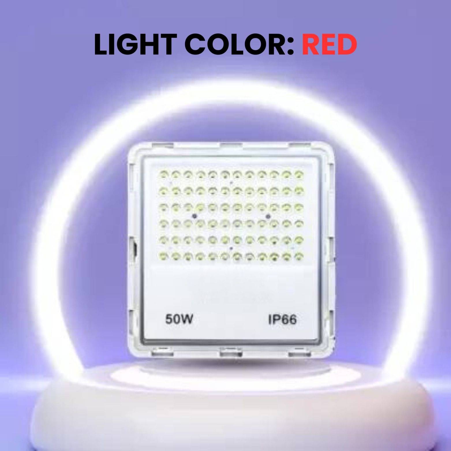     			ZESTRUM Flood Light RGB - Pack of 1