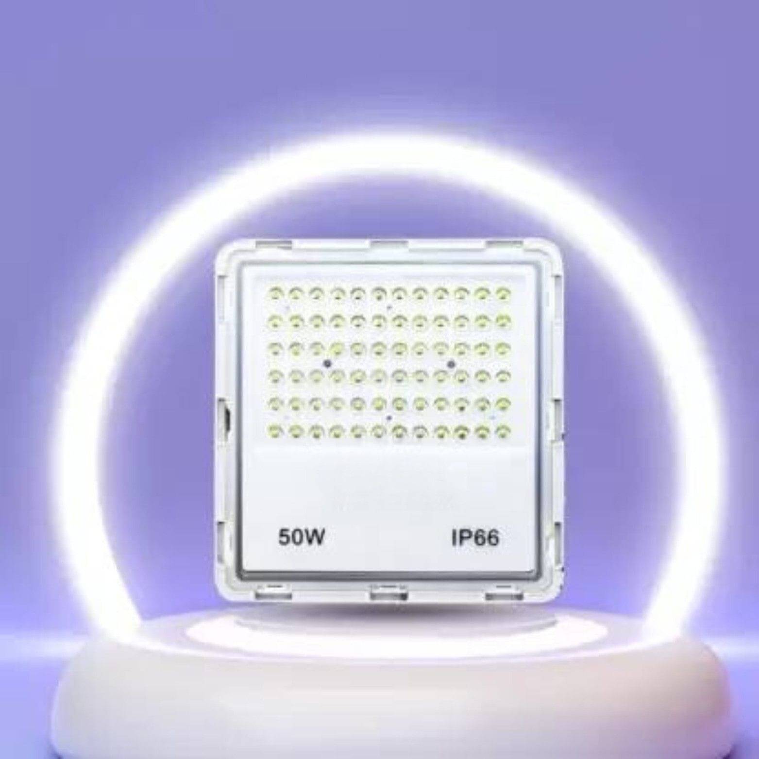     			ZESTRUM Flood Light RGB - Pack of 1