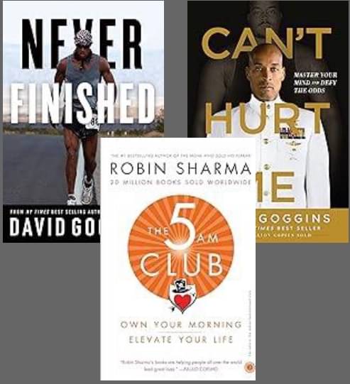     			Never Finished + Can't Hurt Me + The 5 Am Club