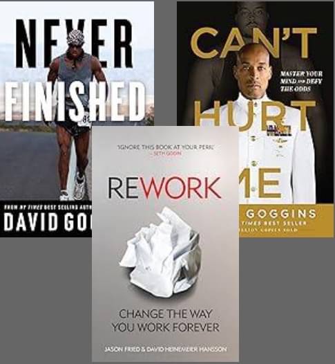     			Never Finished + Can't Hurt Me + Rework