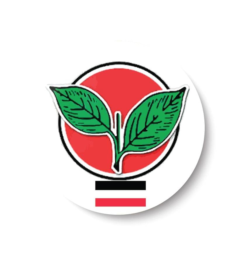     			PEACOCKRIDE Vote for your Party I All India Anna Dravida Munnetra Kazhagam I AIADMK Party Symbols Pin Badge (Multicolor, Plastic, 44mm)