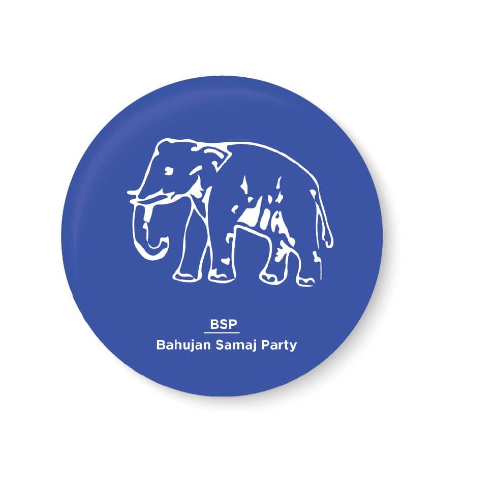     			PEACOCKRIDE Vote for your Party I Bahujan Samaj Party Symbol Pin Badge (Multicolor, Plastic, 44mm)