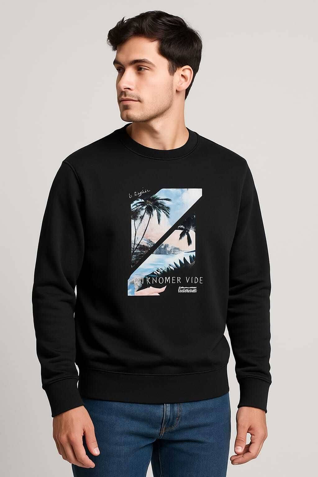 WILD ELEPHANT Polyester Round Neck Men's Sweatshirt - Black ( Pack of 1 ) WILD ELEPHANT Polyester Round Neck Men's Sweatshirt - Black ( Pack of 1 )