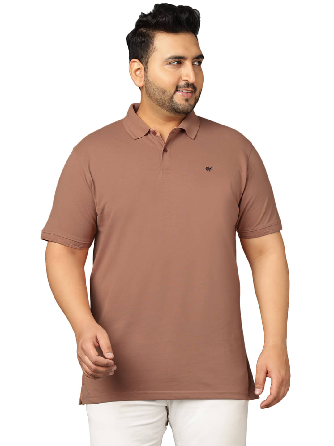     			Club York Men Cotton Blend Regular Fit Solid Polo T Shirt ( Brown )