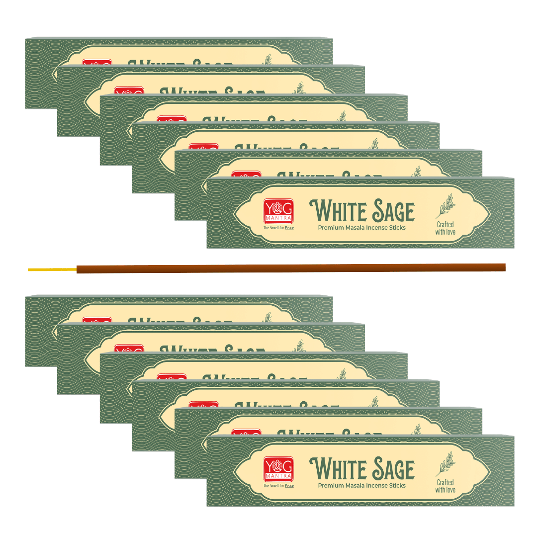     			yogmantra Incense Stick White Sage 50 gm ( Pack of 12 )