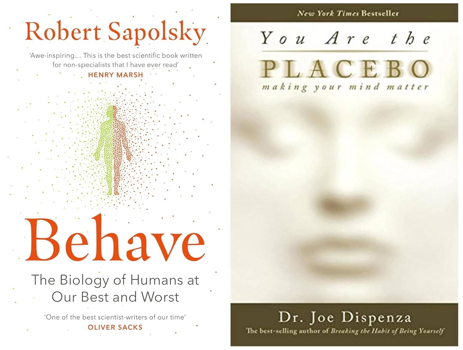     			Behave+You are the Placebo