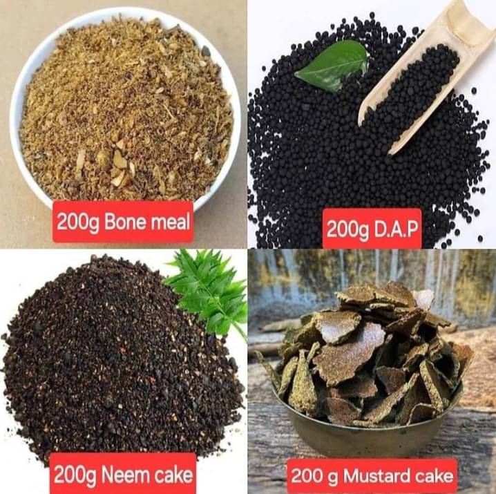     			Bonemeal neem khali mustard cake vermi each 250gm