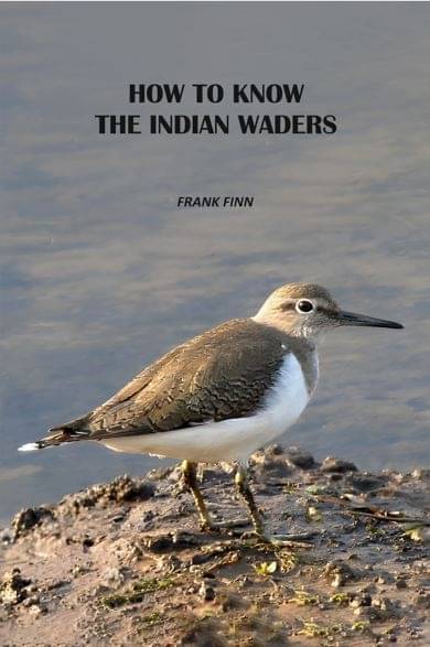     			How To Know The Indian Waders [Hardcover]