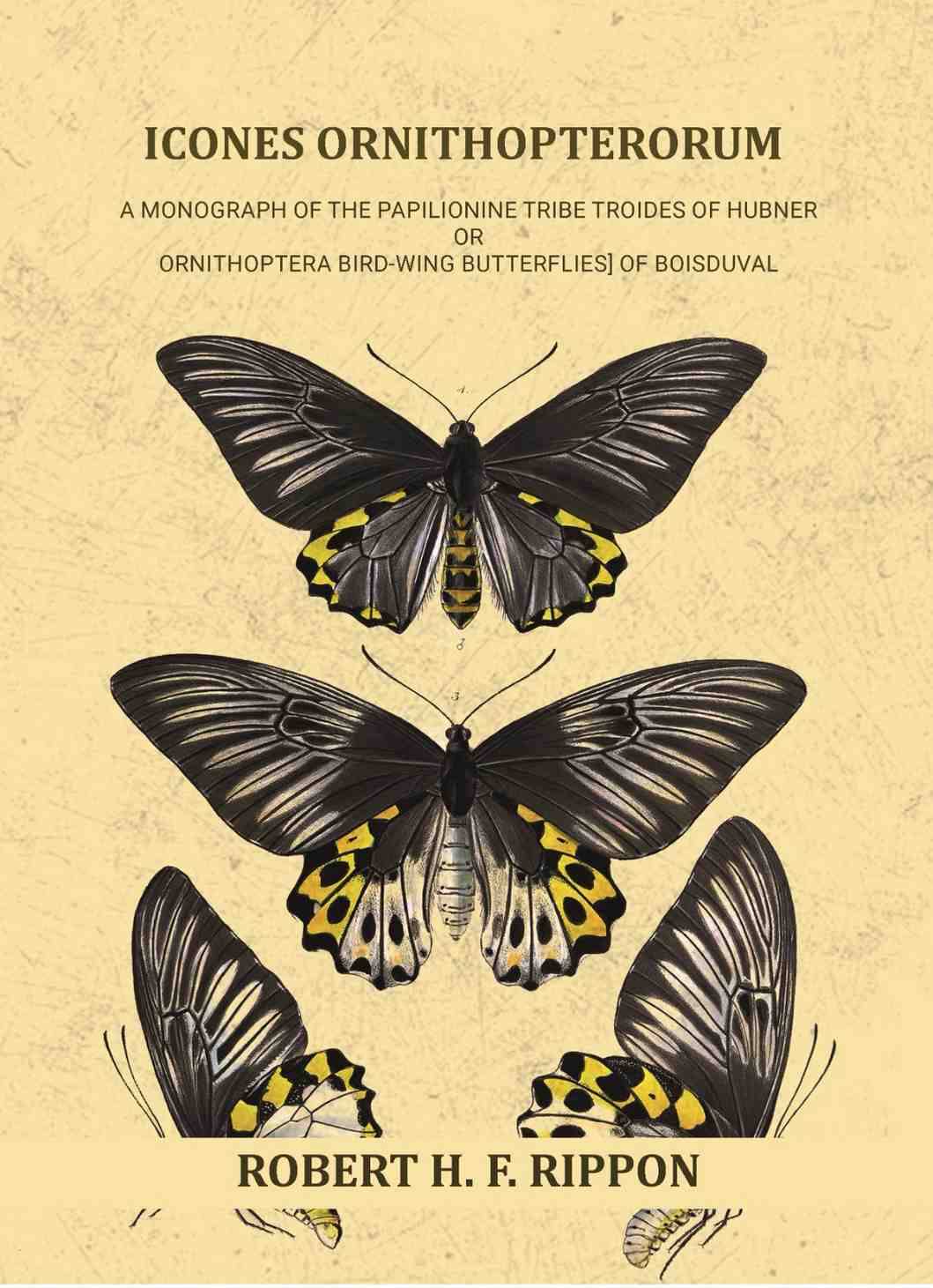    			Icones ornithopterorum a monograph of the Papilionine tribe Troides of Hubner or Ornithoptera [bird-wing butterflies] of Boisduval Vol. 1st