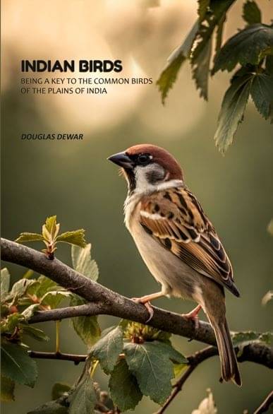 Indian Birds: Being A Key To The Common Birds Of The Plains Of India Indian Birds: Being A Key To The Common Birds Of The Plains Of India