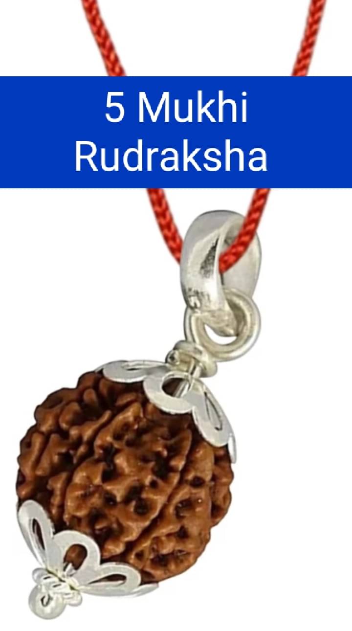 LORD SHIVA METALS 5 Mukhi Rudraksha Original Certified Bead - Natural Nepali 5 Mukhi Rudraks For Meditation And Prayer, Protection, Chakra Balancing, Spiritual Growth And Diy Pooja Supplies     			LORD SHIVA METALS 5 Mukhi Rudraksha Original Certified Bead - Natural Nepali 5 Mukhi Rudraks For Meditation And Prayer, Protection, Chakra Balancing, Spiritual Growth And Diy Pooja Supplies