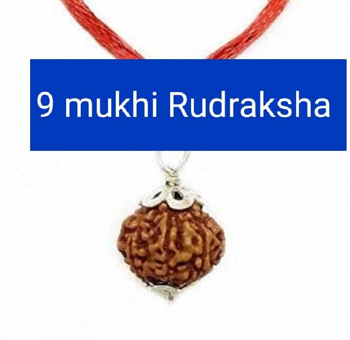 LORD SHIVA METALS 9 Mukhi Indonesian Rudraksha Pendant Nau Mukhi Rudraksh Original 9 मुखी रुद्राक्ष Nine Face Rudraksh With Certificate Nine Mukhi Rudrakshas For Wear     			LORD SHIVA METALS 9 Mukhi Indonesian Rudraksha Pendant Nau Mukhi Rudraksh Original 9 मुखी रुद्राक्ष Nine Face Rudraksh With Certificate Nine Mukhi Rudrakshas For Wear