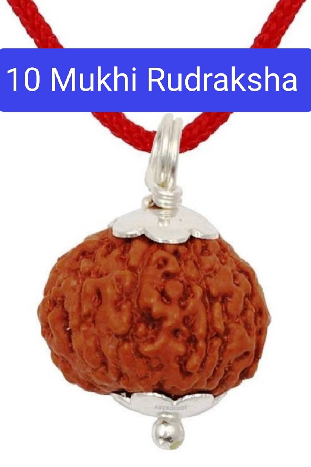 Lord Shiva Metals Brown Religious Pendant Without Chain ( Pack of 1 )     			Lord Shiva Metals Brown Religious Pendant Without Chain ( Pack of 1 )