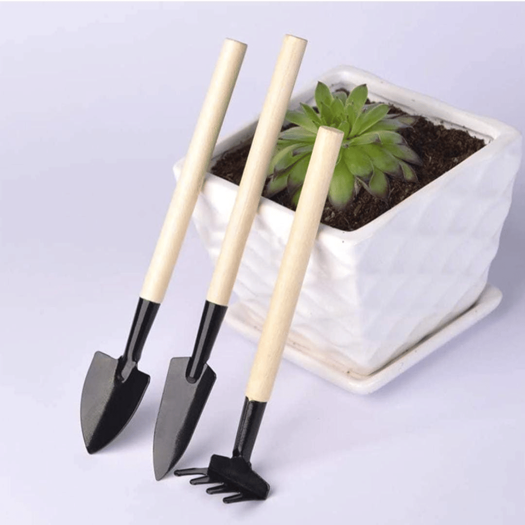 Premium Gardening Tools Kit for Home | 3-Piece Garden Tools Set for Home Gardening | Durable Hand Tools for Planting, Weeding & Digging | Garden Essentials Kit for Garden Lovers     			Premium Gardening Tools Kit for Home | 3-Piece Garden Tools Set for Home Gardening | Durable Hand Tools for Planting, Weeding & Digging | Garden Essentials Kit for Garden Lovers