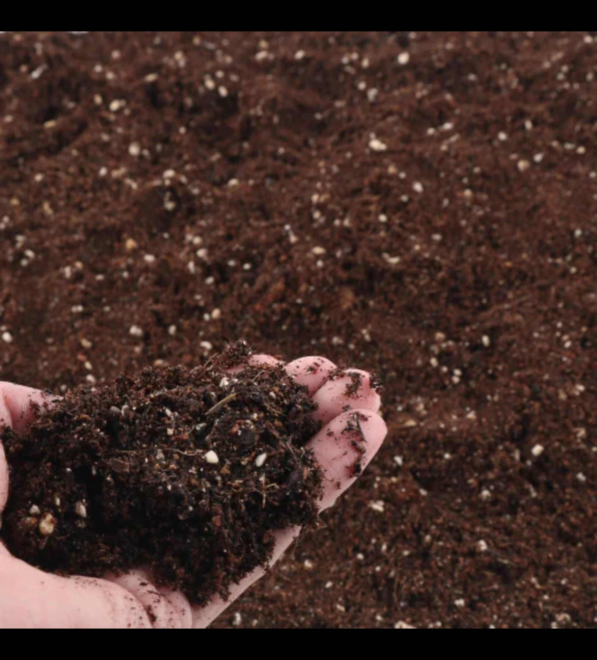    			Premium Potting Mix 1kg – Ready-to-Use Garden Soil for Healthy Plant Growth